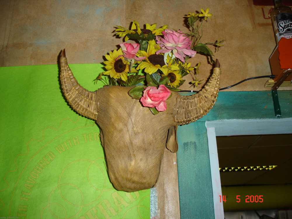 dsc06469