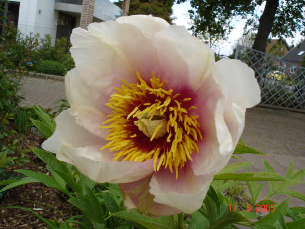 helene_martin4