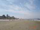 dsc06453