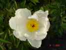 unschuld3