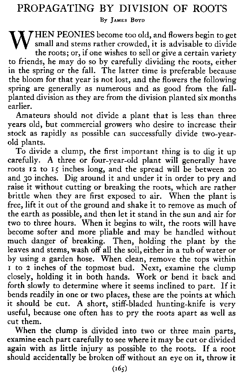 165_propagating by division of roots